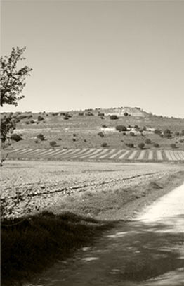 Una vista de Granja Sard�n