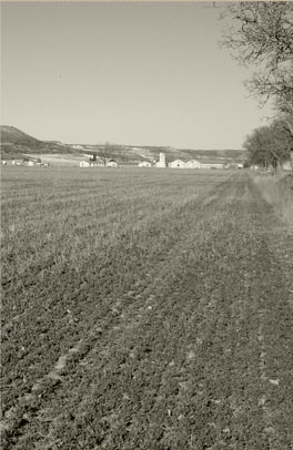 Vista de Granja Sard�n