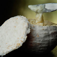 Imagen del Queso de pasta blanda Pico Melero